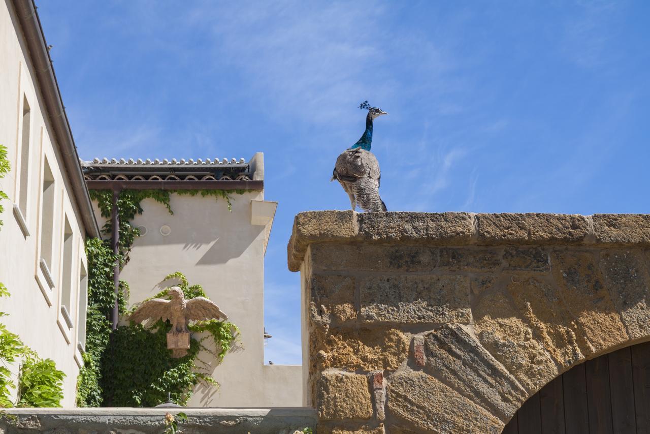 Resort Fontes Episcopi Aragona エクステリア 写真